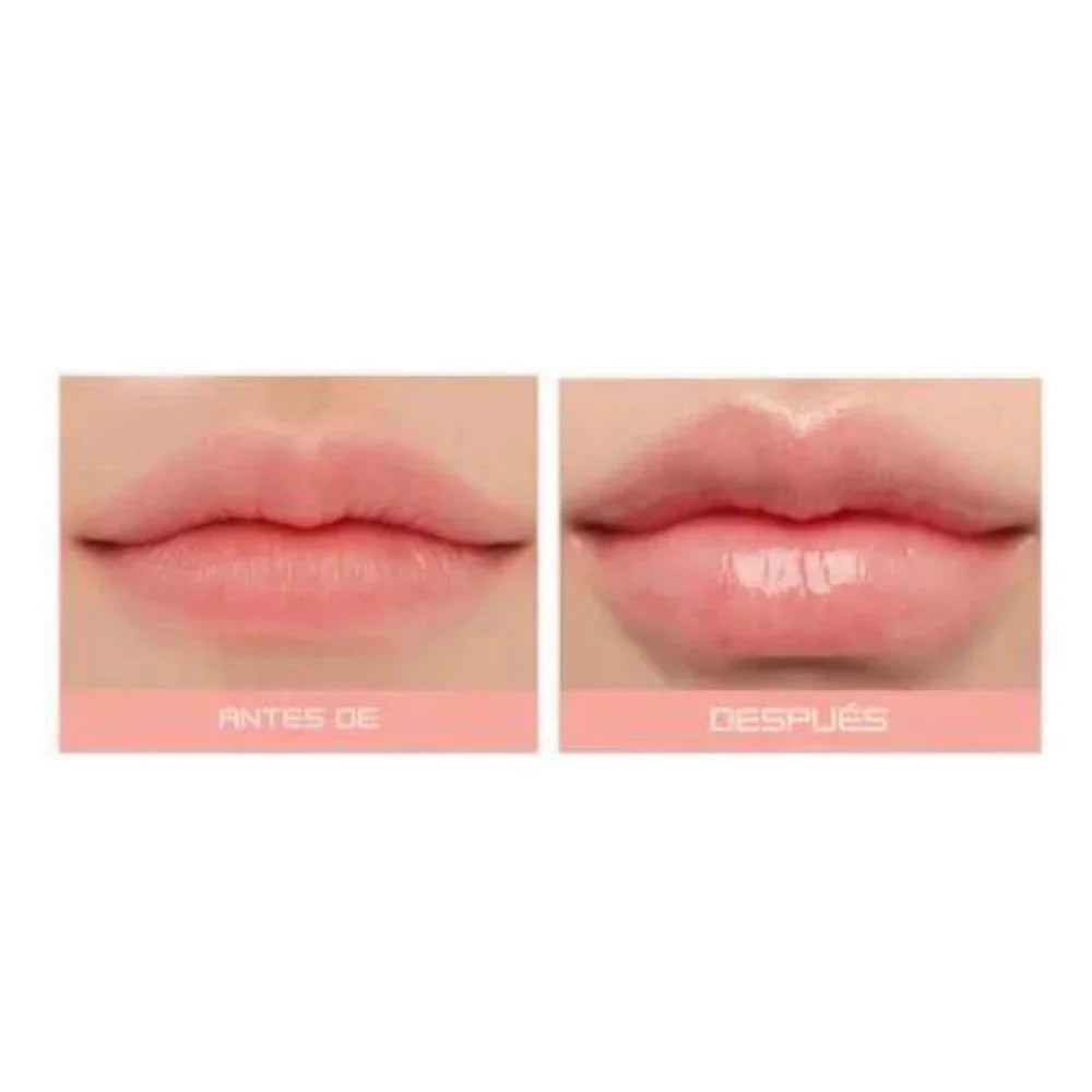Revitalip Gloss Kit