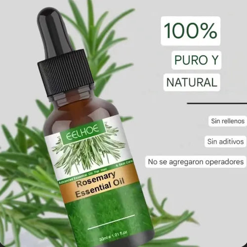 Rosemary Oil | Say Goodbye to Hair Loss!